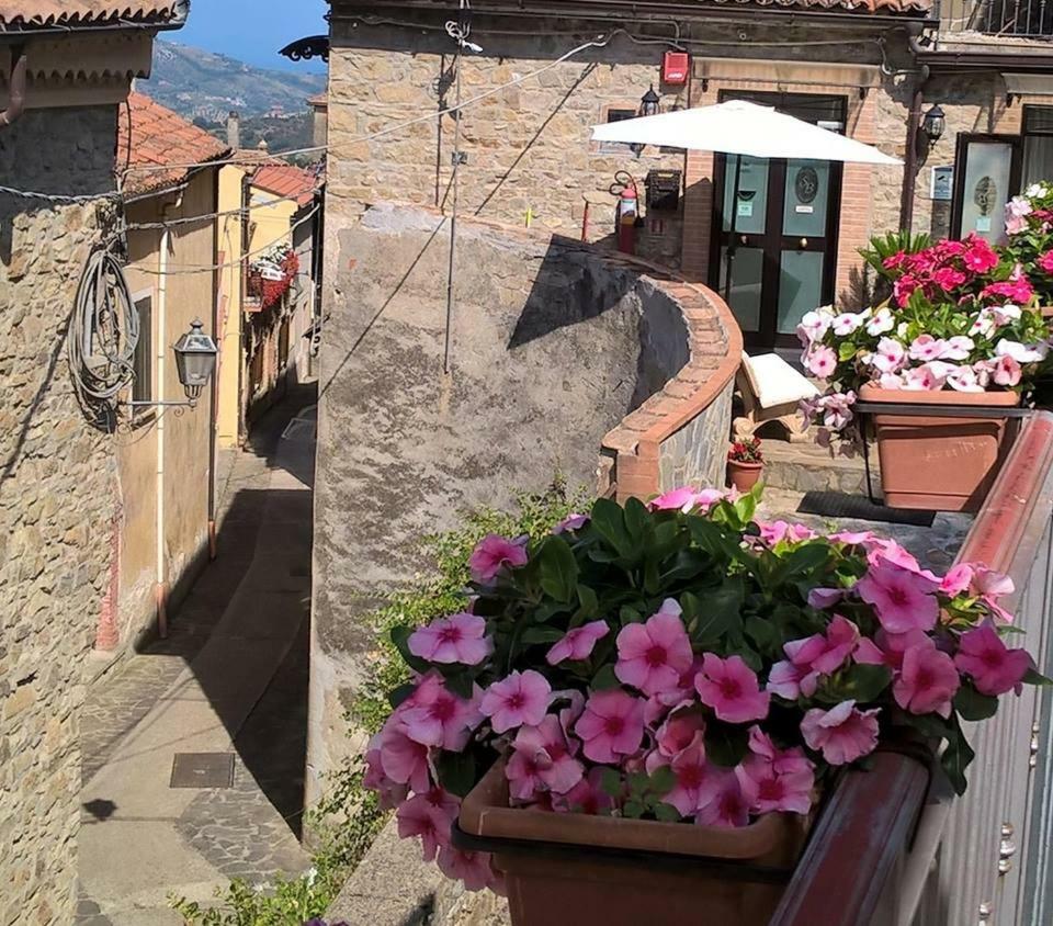 Santa Barbara B&B Torchiara Kültér fotó